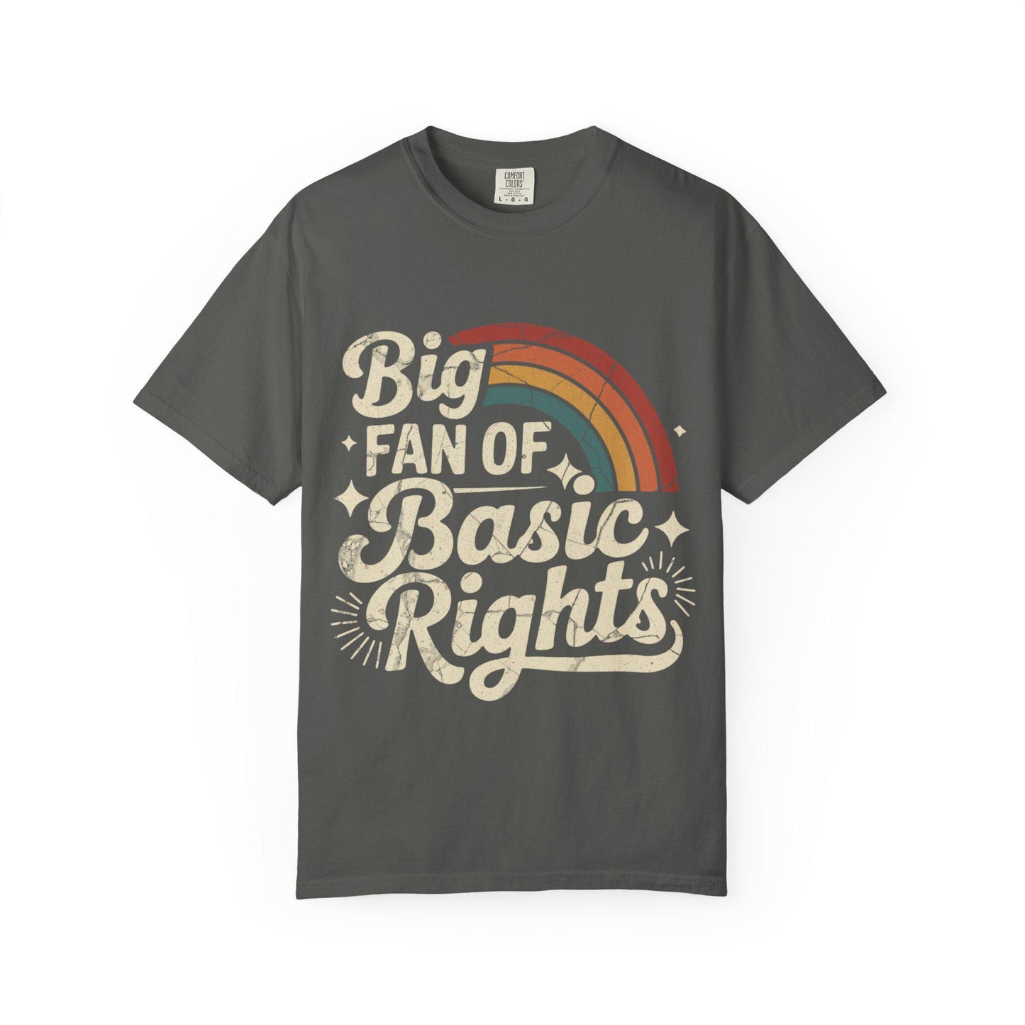 Big Fan of Basic Rights T-Shirt | Retro Rainbow Human Rights Tee
