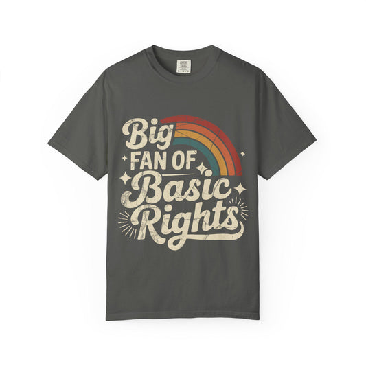 Big Fan of Basic Rights T-Shirt | Retro Rainbow Human Rights Tee