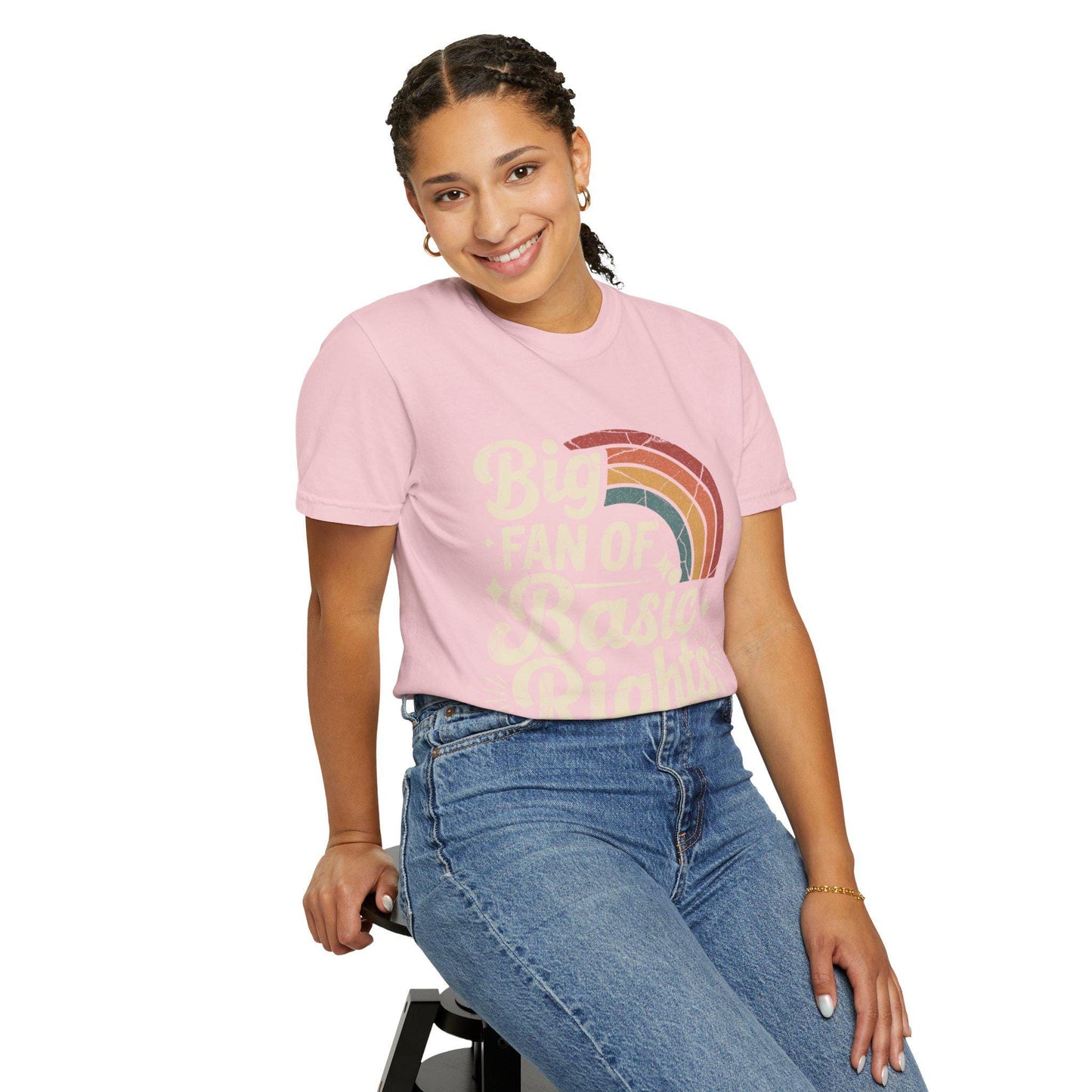 Big Fan of Basic Rights T-Shirt | Retro Rainbow Human Rights Tee