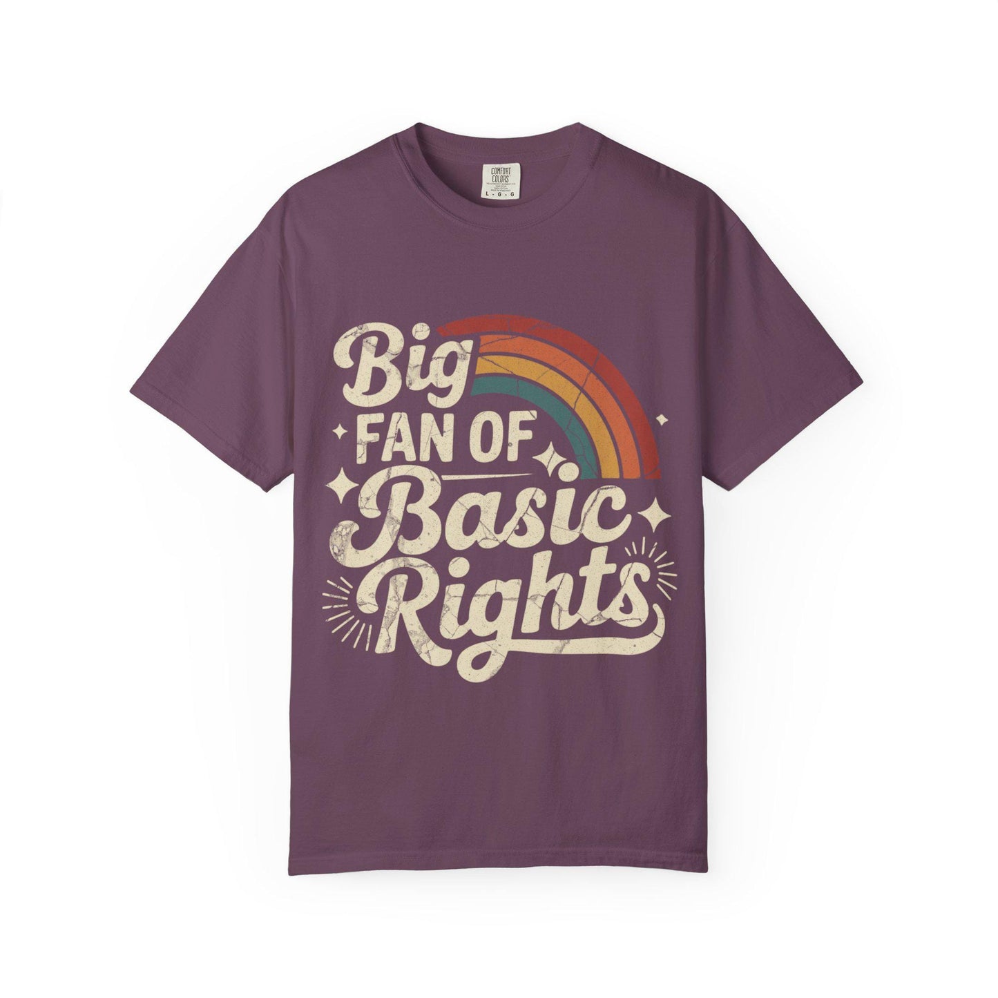 Big Fan of Basic Rights T-Shirt | Retro Rainbow Human Rights Tee